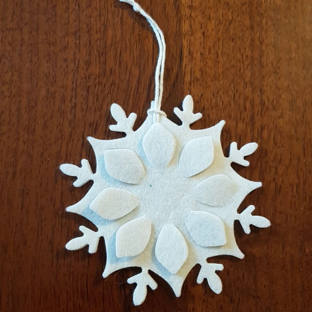 fiocco di neve (1)